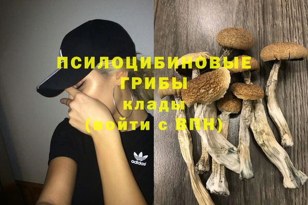 спиды Навашино