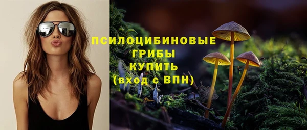 спиды Навашино