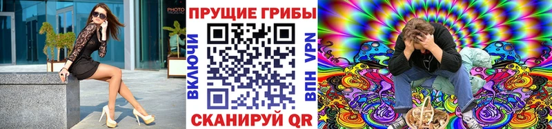 кракен как зайти  Нахабино  Псилоцибиновые грибы прущие грибы 